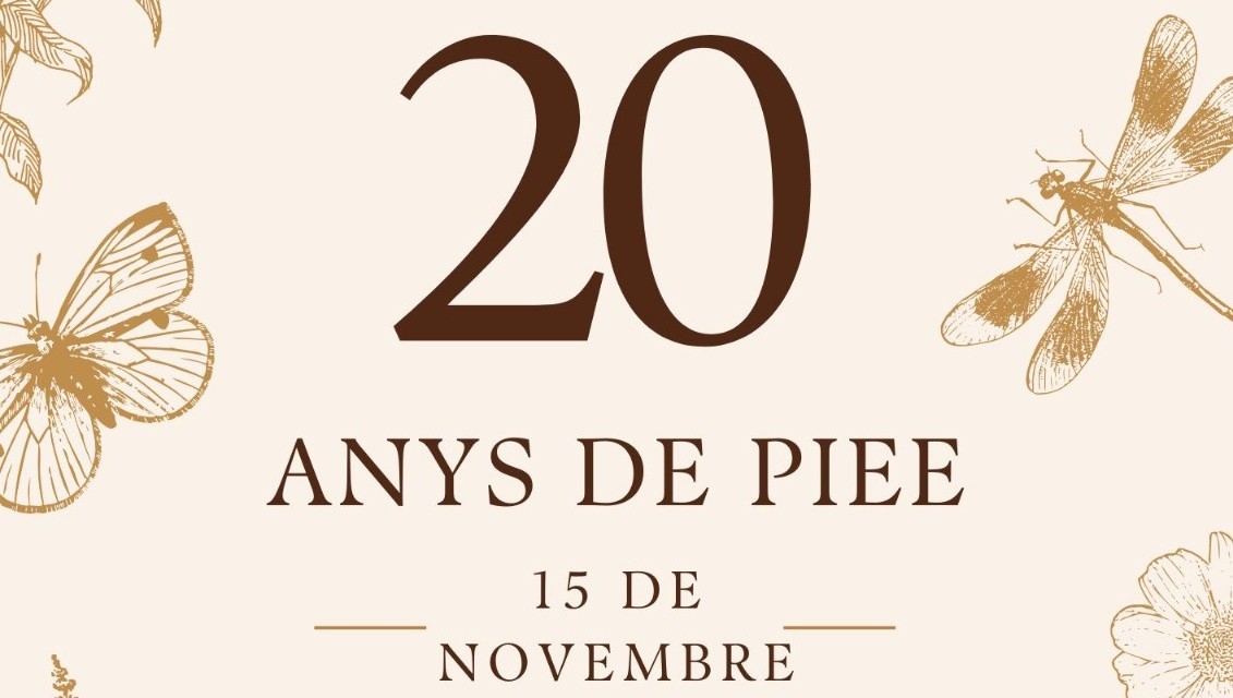 En este momento estás viendo 20 anys de PIEE